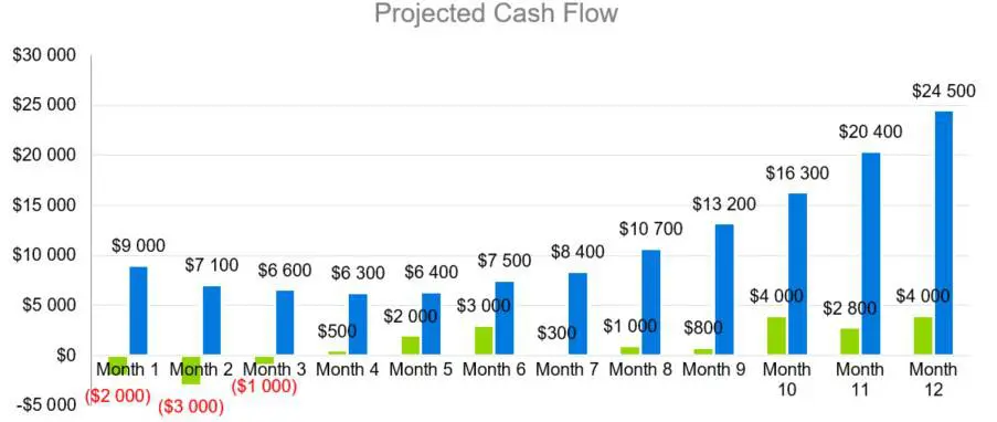 Projected Cash Flow - Solar Energy Company Business Plan Sample