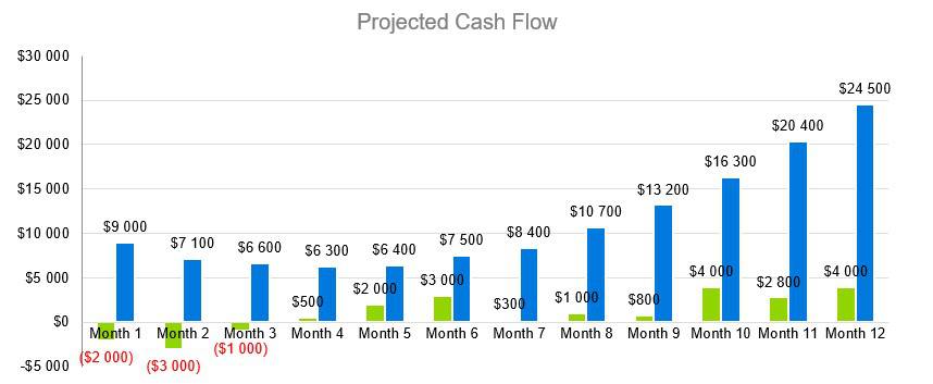 Projected Cash Flow - Funeral Home Business Plan