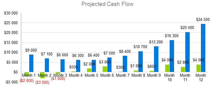 Сhicken Farming Business Plan - Projected Cash Flow