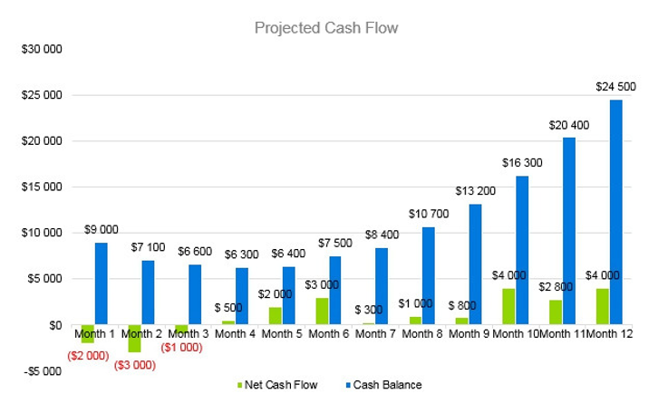 Soap Manufacturer Business Plan - Projected cash flow