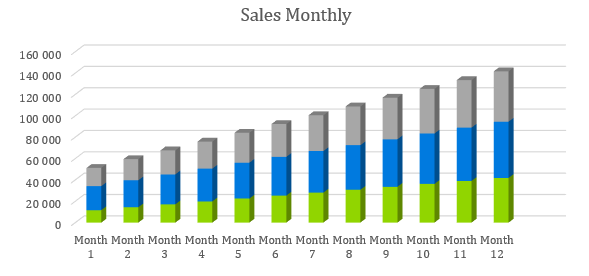 Soap Manufacturer Business Plan - Sales Monthly
