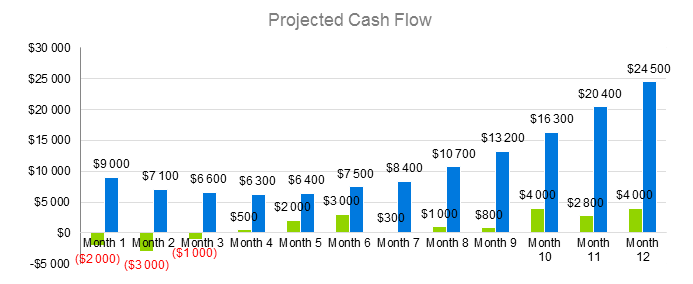 Spa Business Plan Sample - Projected Cash Flow