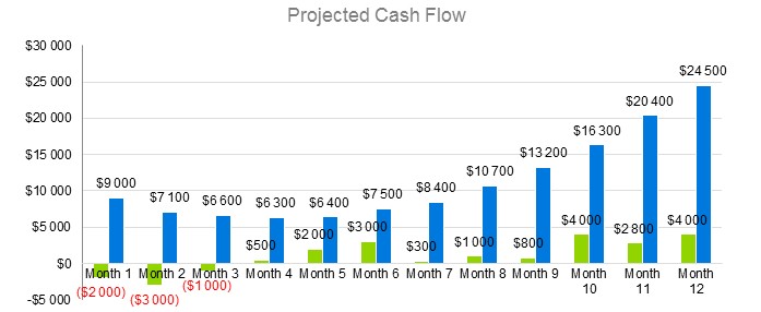 T-Shirt Printing s Business Plans - Project Cash Flow