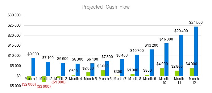 Taxi Business Plan - Project Cash Flow