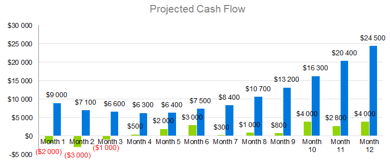 Technology Business Plan - Projected Cash Flow