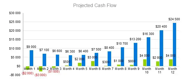 Tobacco Shops Business Plans - Projected Cash Flow