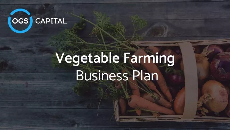 Vegetable Farming Business Plan