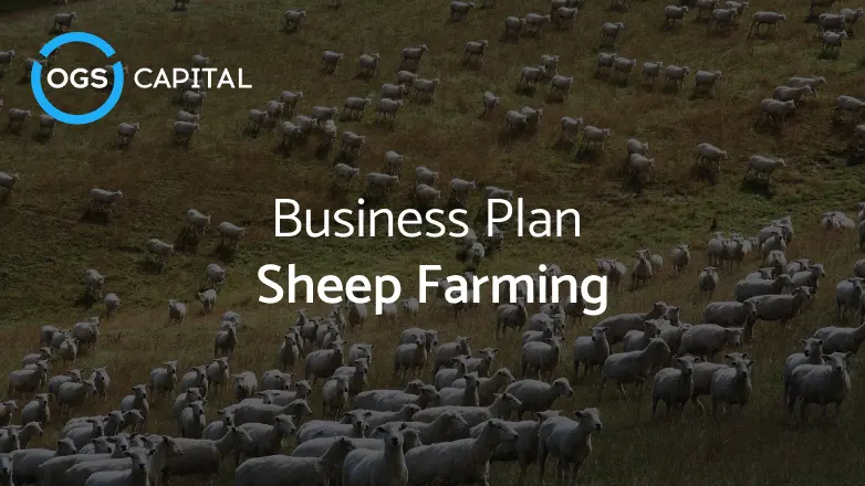 Business Plan for Sheep Farming
