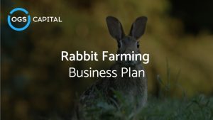 business plan for rabbit farming