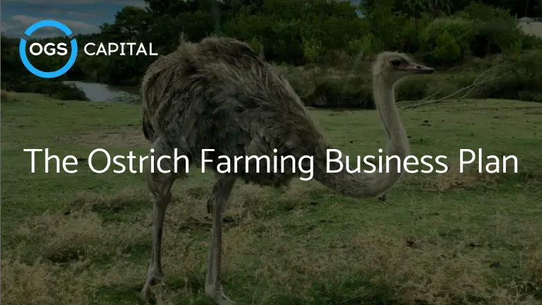 The Ostrich Farming Business Plan